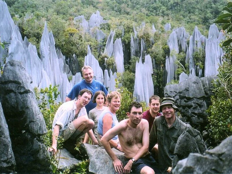Pinnacles bij Mulu national park - Borneo
