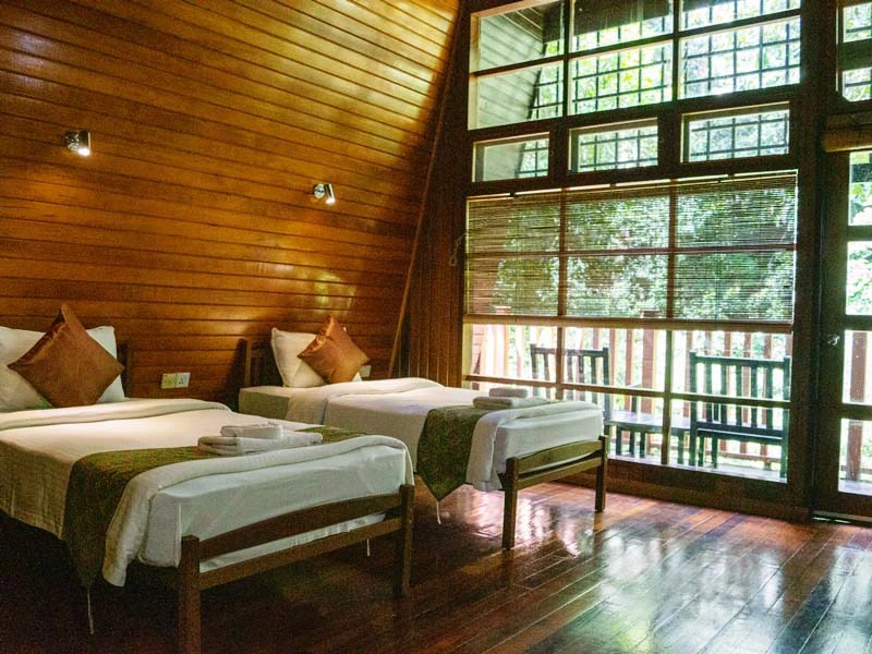 Tabin jungle expeditie