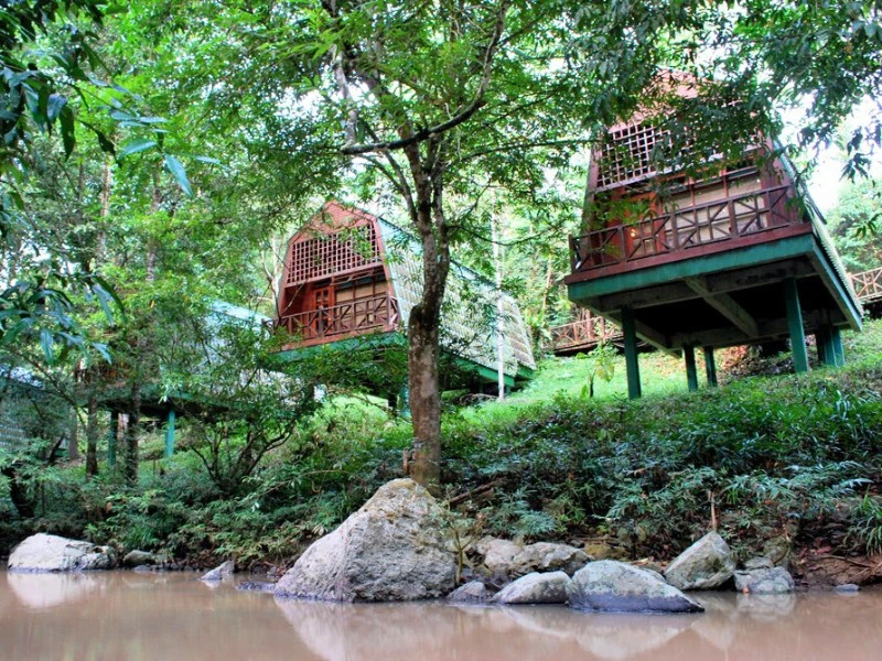 Lodge in tabin national park