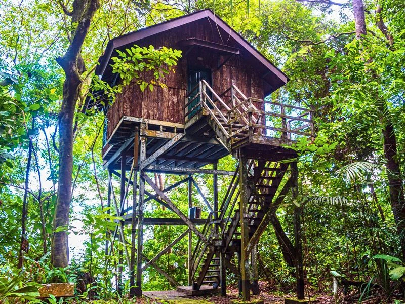 Boomhut hotel in Semenggoh - Borneo