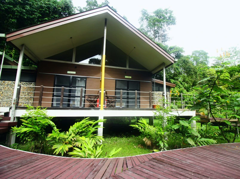 Mulu-Rainforest-Lodge-chalet