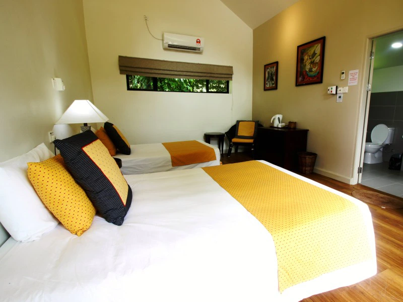 Mulu-RainforestLodge-room