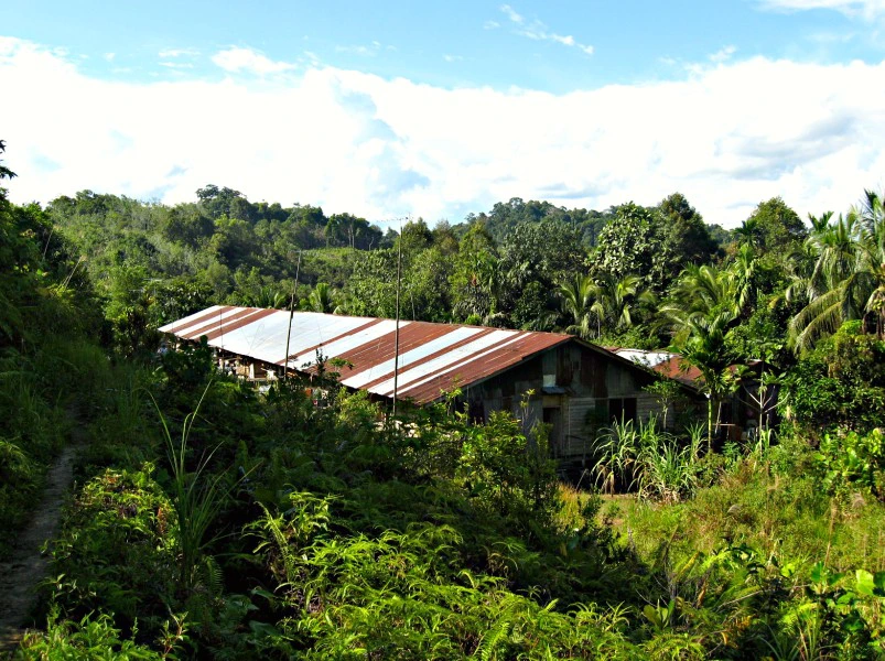 menyangtais-longhouse-borneo