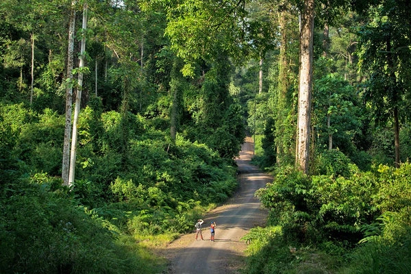 Danum Valley Borneo