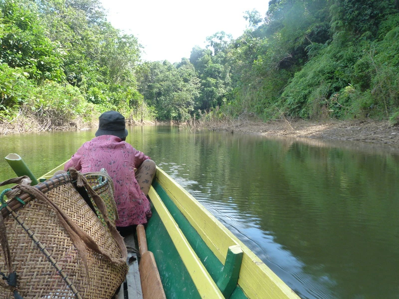 Batang Ai, Sarawak, Borneo