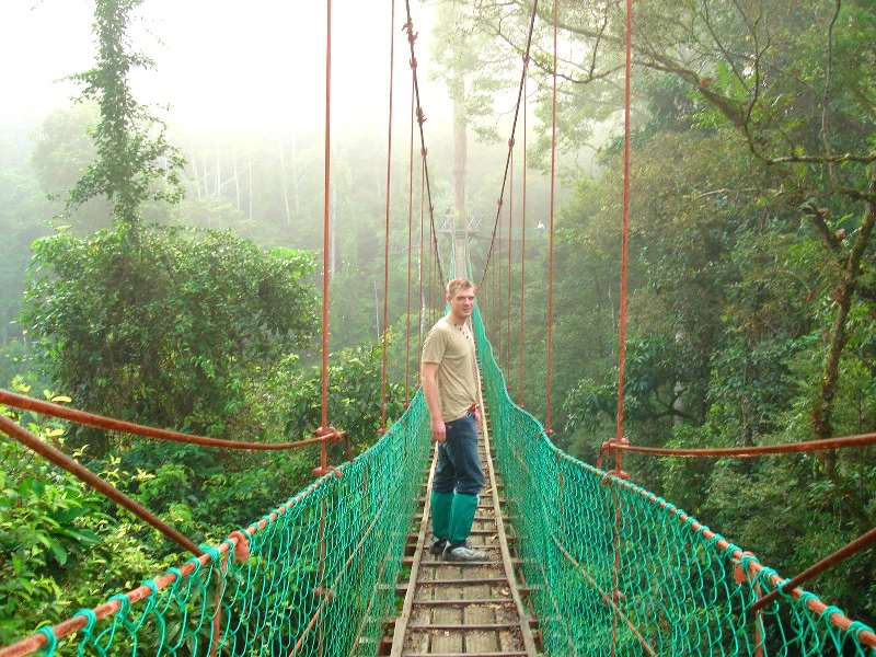 Loopburg in danum valley - Borneo