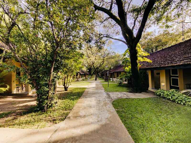 Special Stay Pollanuwara