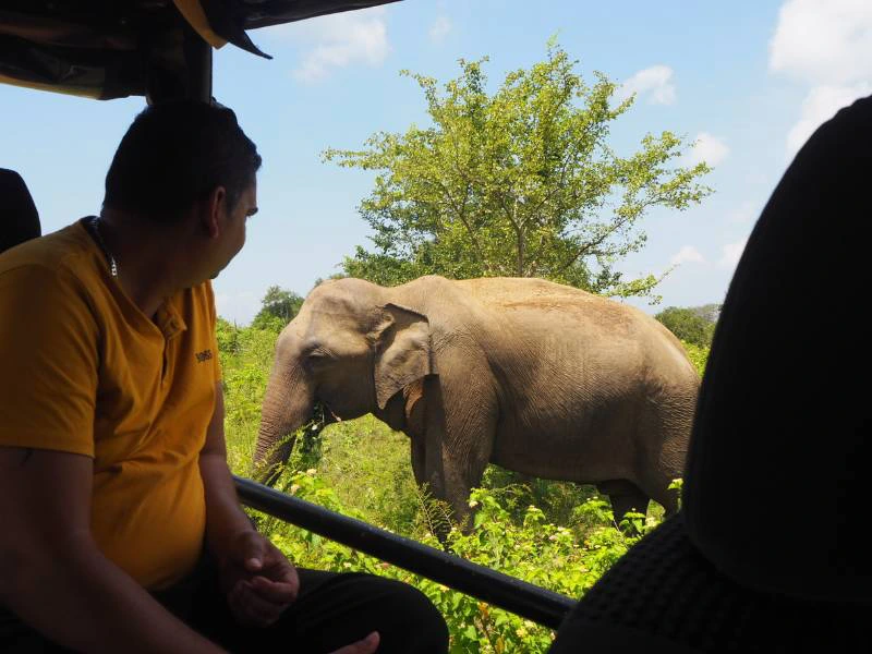Sri Lanka Safari jeep