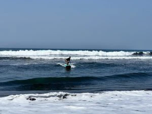 Surfen Sri Lanka