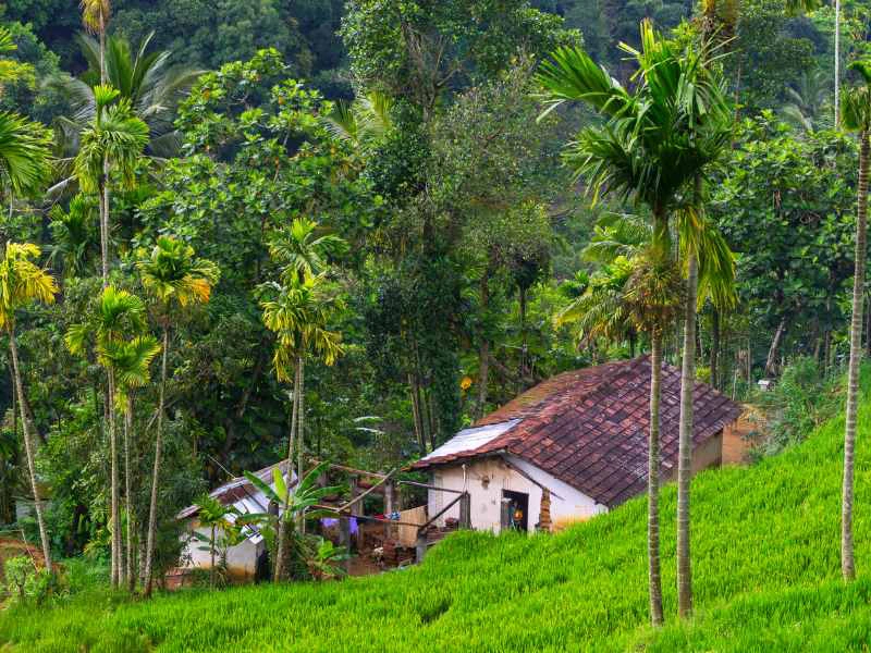 Knuckles Range huisje