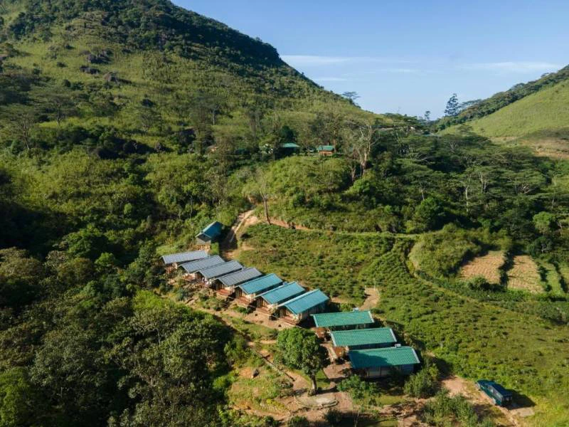 Glamping in de natuur van Sri Lanka