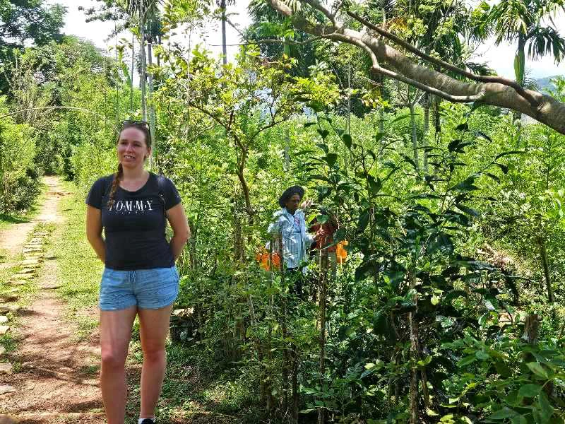 Sri Lanka - Ella - Tea tour