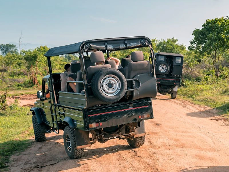 Sri Lanka Jeep safari