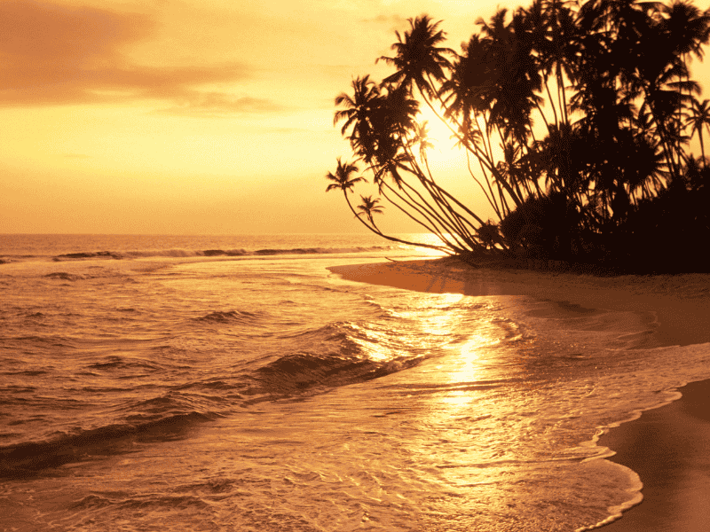 Ontdek de mooiste stranden van Sri Lanka met Riksja Travel