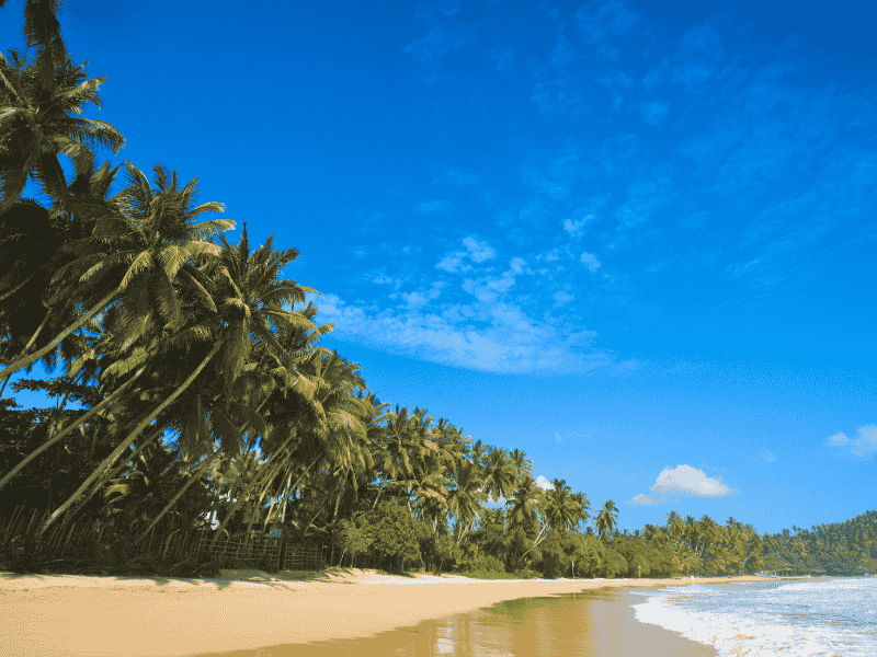 Welgama Sri Lanka beach