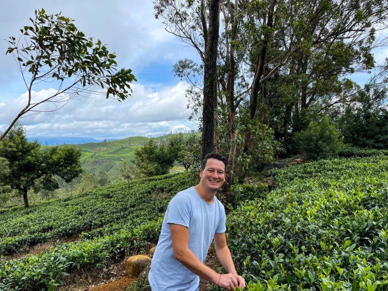 Groene velden bij Ella - Sri Lanka