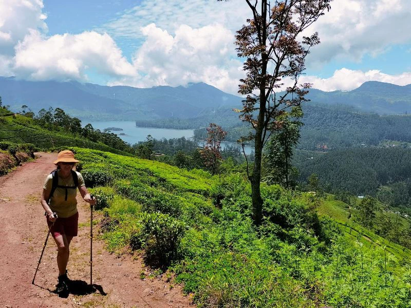 Pekoe trail