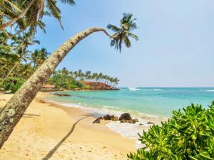 Strand Mirissa