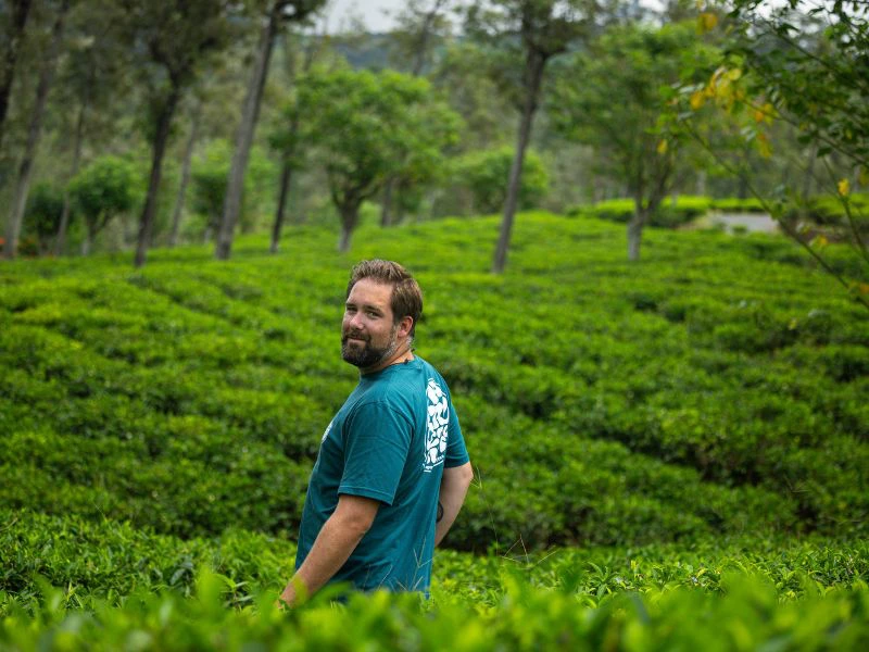 Reiziger staat tussen de felgroene theeplanten.