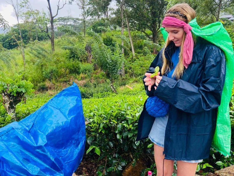 Reiziger staat met een theeblaadje in haar handen.