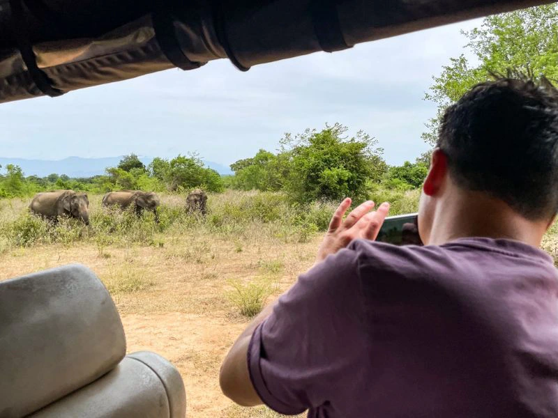 Reiziger maakt foto's van een kudde olifanten.