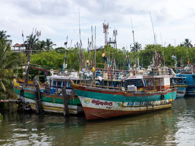 Twee kleurrijke vissersboten in Negombo