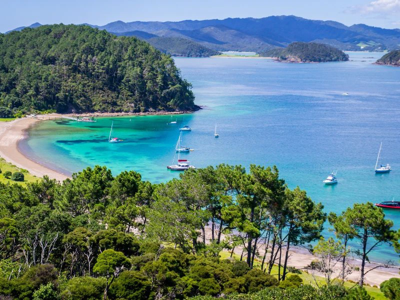 Nieuw Zeeland - Bay of islands