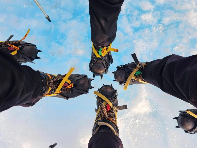 Fox Glacier | Nieuw-Zeeland
