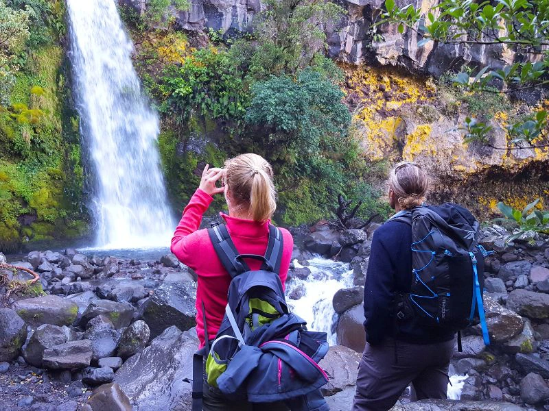 New zealand taranaki