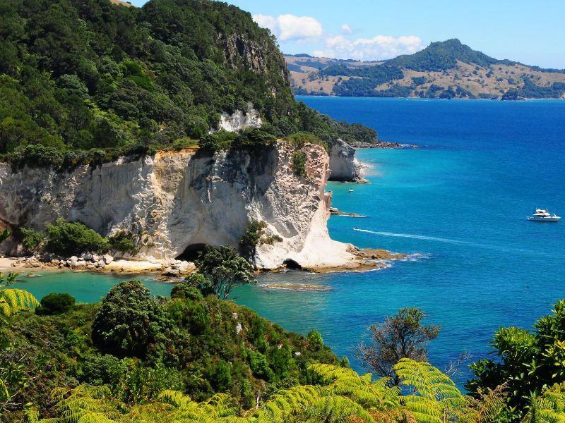 coromandel nieuw zeeland