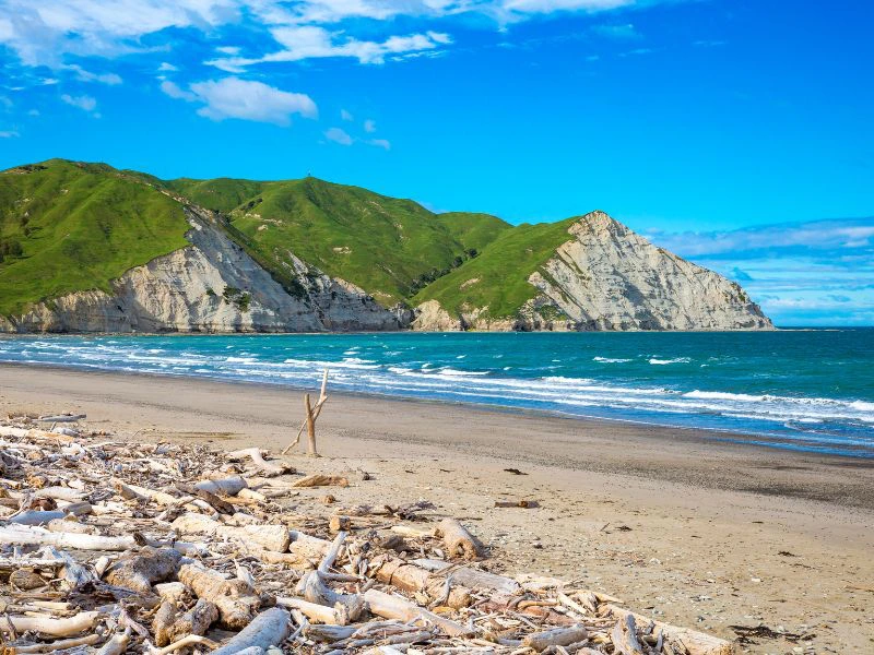 mahia beach strand nieuw zeeland zee