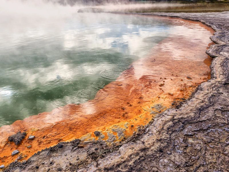3 Weken Nieuw-Zeeland