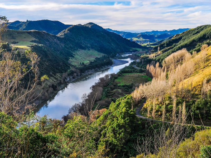 Whanganui national park natuur nieuw zeeland rivier