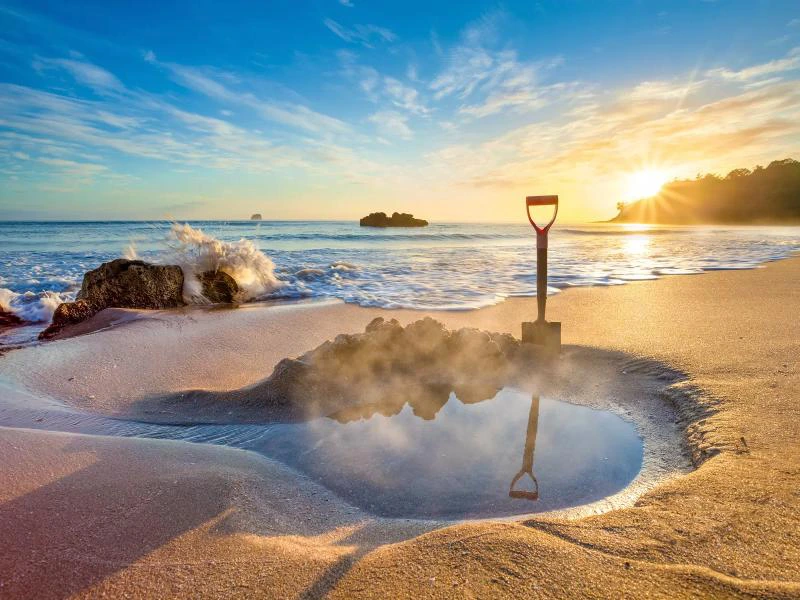 3 Weken Nieuw-Zeeland