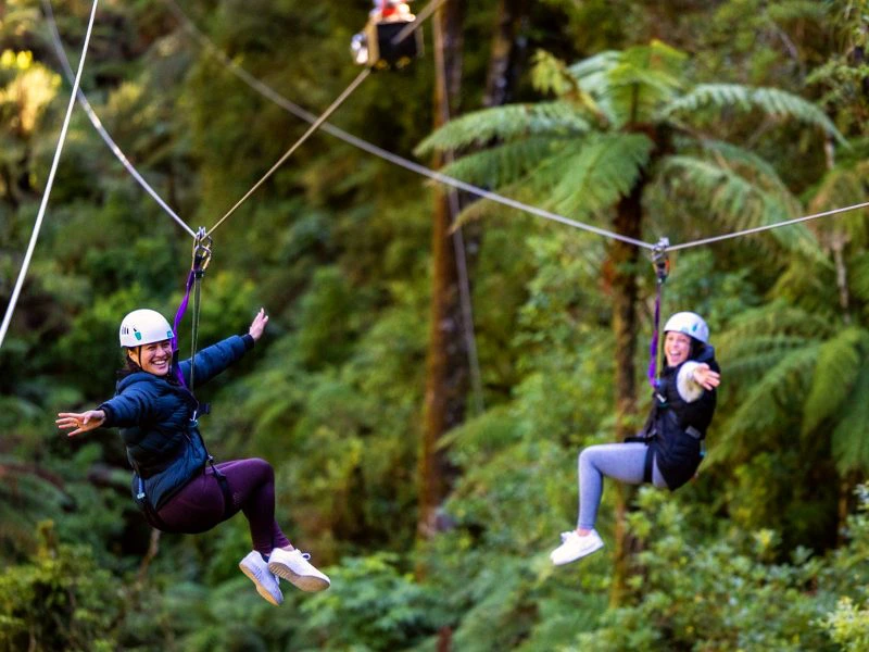 nieuw zeeland ziplinen