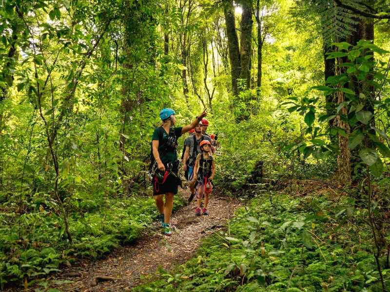 Ziplinen in nieuw zeeland