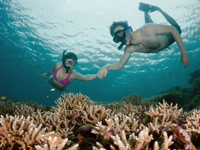 bali snorkelen sanur