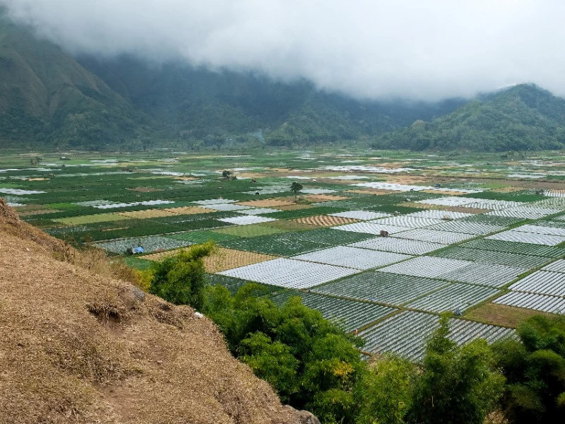 Top 3 Lombok Indonesië - rijstvelden