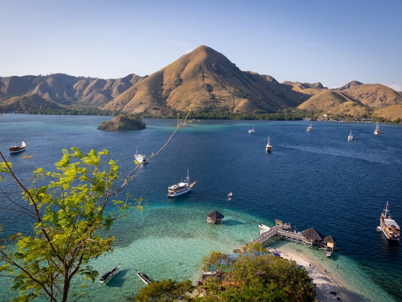 Eilanden Komodo Flores Indonesie