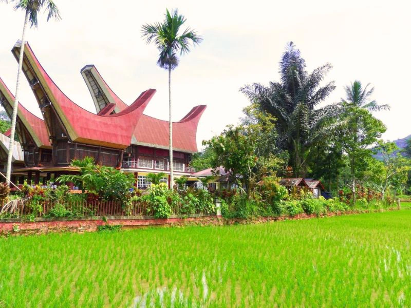 Hotel inToraja Sulawesi
