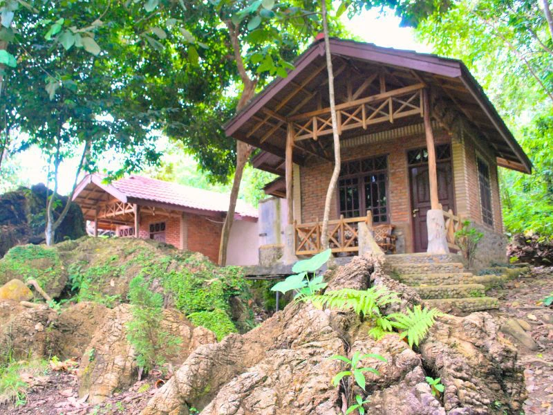 Indonesia-sumatra-Tangkahan resort