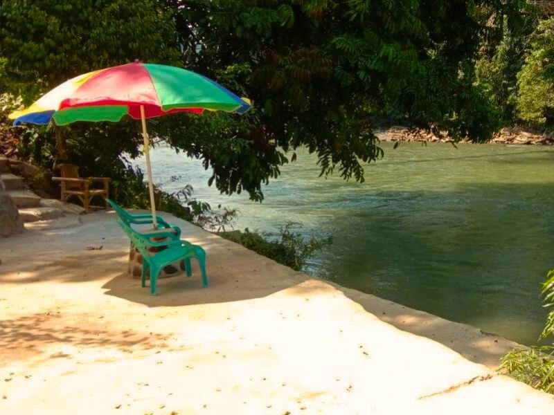 Indonesia-sumatra-Tangkahan resort