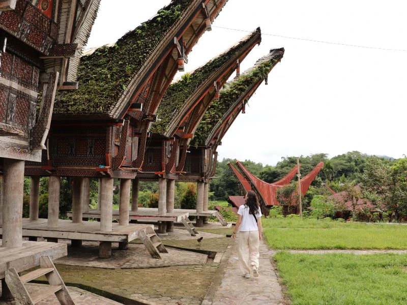 Reizigster die wandelt langs traditionele toraja huizen op Sulawesi