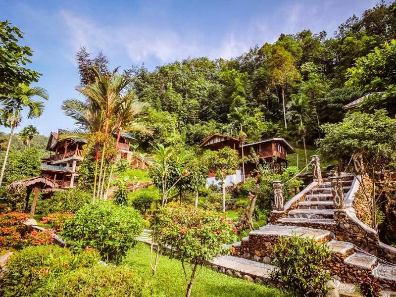 sumatra-bukit-lawang-hotel