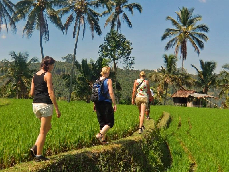 Natuur in Indonesie - bucketlist