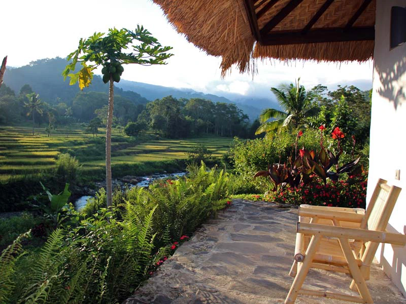 moni hotel bungalow