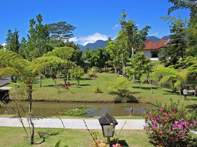 ruteng hotel flores