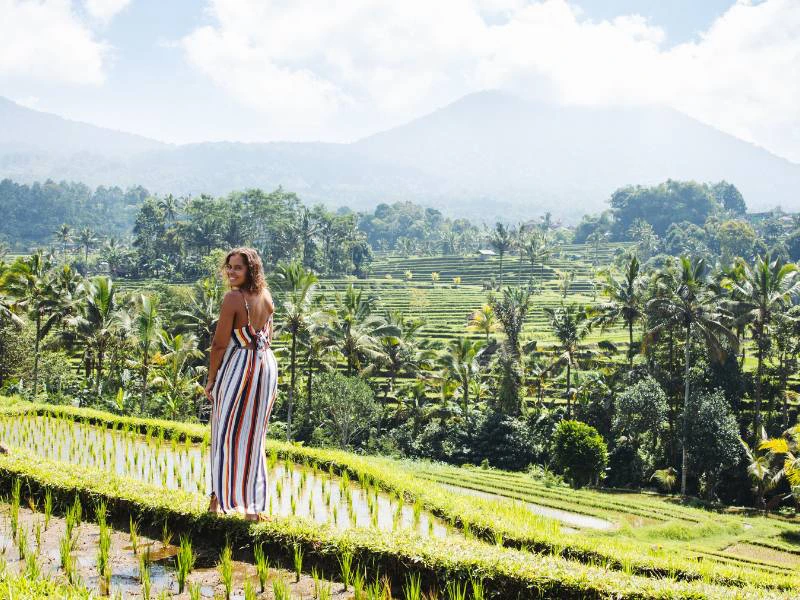 Rijstvelden Indonesie