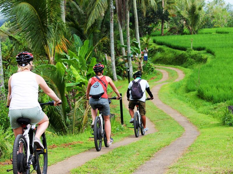 E-bike bij Ubud rijstvelden