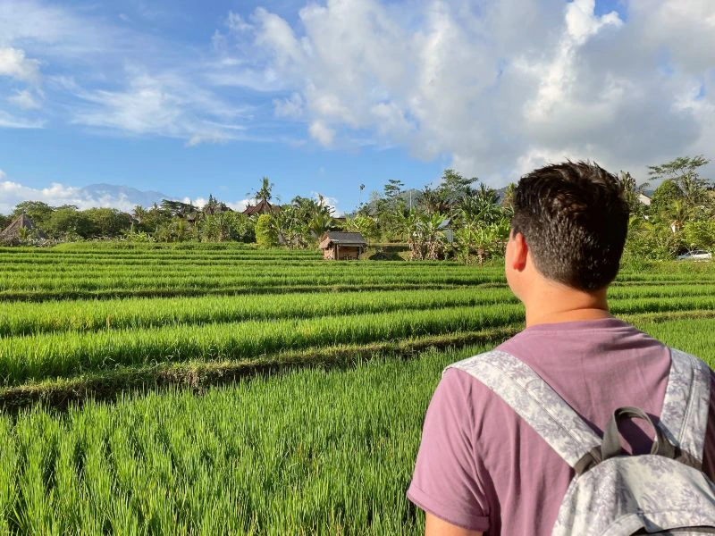 rijstvelden Bali Sidemen